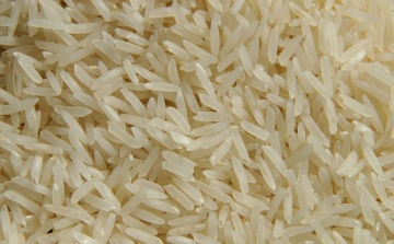 Arzénnal szennyezett rizst találtak Magyarországon