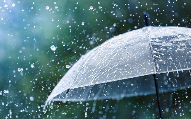 Csapadékos májust remélnek a gabonatermesztők