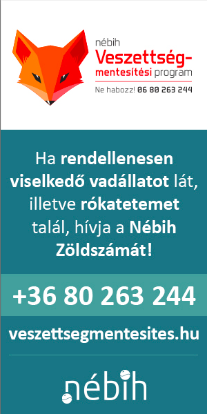 veszettség NÉBIH körmend 300x600